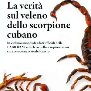 Oncology Medicine Guide Ambrosini Editore eBook 1st Edition Italian-0