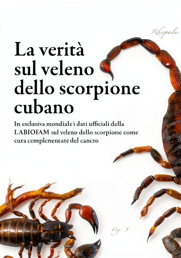 Oncology Medicine Guide Ambrosini Editore eBook 1st Edition Italian-0